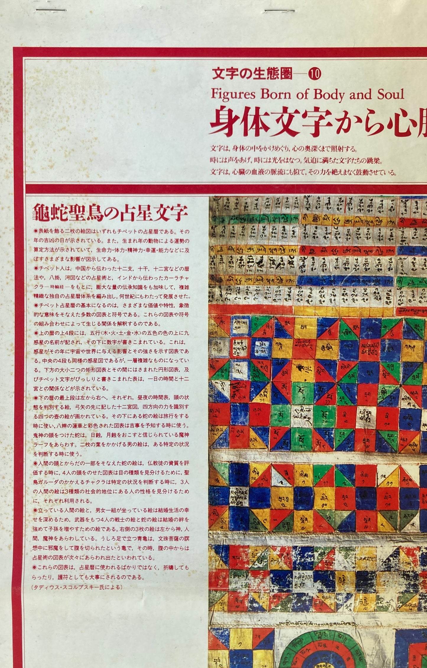 杉浦康平 写研 カレンダー 1984年 文字の生態圏10 身体文字から心胎文字へ