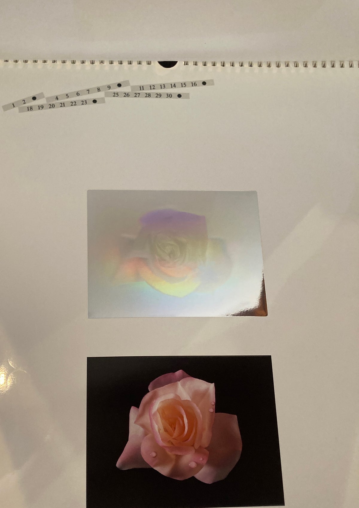 ZANDERS 1988 Holographie Kalender　Holography Calender　カレンダー　